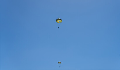 Military parachute training. parachutists in the blue sky.