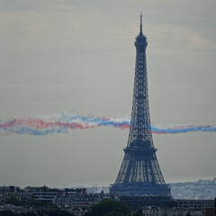 Tricolor Smoke on Eiffel Tower