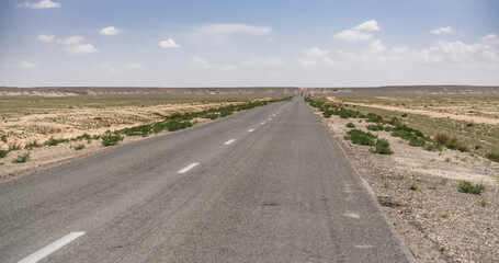 Fototapeta na wymiar Minimalistic asphalt road in the middle of the Kazakh steppe, on a hot summer day