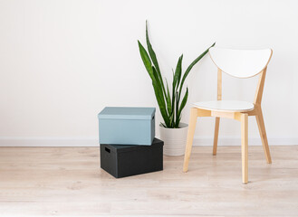 White wooden chair, cardboard boxes and a houseplant in a pot on a beige oak floor and gray wall to decorate the background of the room. Empty space layout concept in apartment.