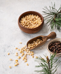 Pine nuts in a bowl  on napkin and scattered on a white texture background with branches of pine needles. The concept of natural, organic and healthy superfoods and snacks.
