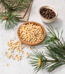 Pine nuts in a bowl  and scattered on a white texture background with branches of pine needles. The concept of natural, organic and healthy superfoods