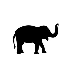 Vector illustration of Elephant silhouettes 
