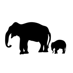 Vector illustration of Elephant silhouettes 