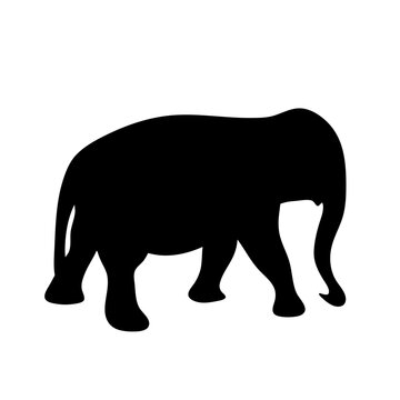 Vector illustration of Elephant silhouettes 