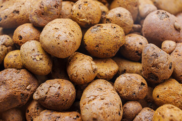 Expanded clay. small lumps of clay used in construction and for growing plants.