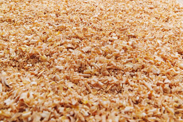 sawdust and shavings. material for agriculture. mulch 