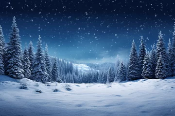 Photo sur Plexiglas Paysage Winter landscape with trees & snowflakes