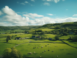 Idyllic Afternoon: Panoramic View of Summer Countryside with Grazing Livestock