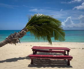 View of a red wooden table by a leaning palm tree on Seven Mile Beach, Grand Cayman, Cayman Islands 