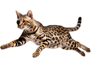 Graceful Ocicat Leaping in Mid-Air - Transparent Background
