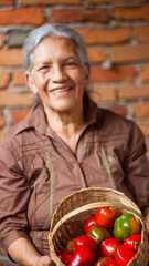 Portrait of a beautiful mother and grandmother, open, vertical. Optimistic, looking at camera. She holds a basket with red chili peppers, rocotos. Bricks background.Taken in Merida, Venezuela. Concept