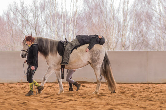 Equine-assisted therapy with medical disability patient on equestrian riding hall.
