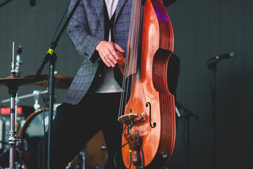 Concert view of a contrabass violoncello player with vocalist and musical rock band during jazz orchestra band performing music, violoncellist cello jazz player on stage © tsuguliev