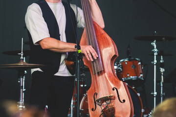 Concert view of a contrabass violoncello player with vocalist and musical rock band during jazz orchestra band performing music, violoncellist cello jazz player on stage © tsuguliev