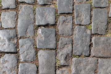 Photograph of old cobblestone pavement, with irregularly shaped cobblestones.