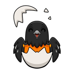Cute baltimore oriole bird cartoon inside from egg