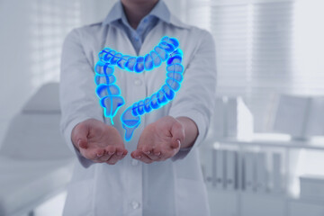 Gastroenterologist holding illustration of large intestine in clinic, closeup