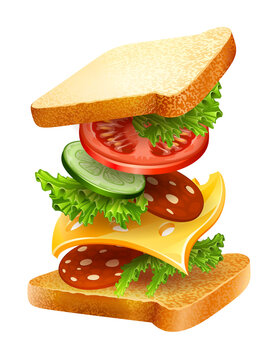 Exploded view of sandwich ingredients with cheese, tomatoes, lettuce and sausage. Isolated on white background. Transparent objects used for shadows and lights drawing. PNG Illustration