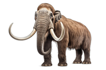 png of a realistic extinct mammoth, no background, isolated. Generative AI
