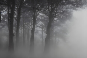 landscape, view, tree, fog, black and white, Generative AI