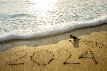 Little sea turtles crawling on the sand beach toward the sea with 2024 new year numbers
