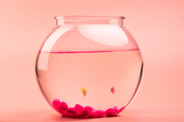 Two small fishes look in camera