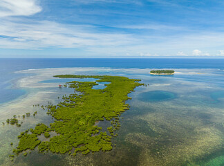 Mangroves with lagoons and tropical island with turquoise water. Coral reefs and sea waves. Mindanao, Philippines.