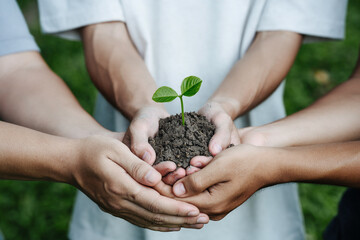 A group of volunteers holds a small tree in their hands for Plant. Concept of world environment...