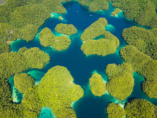 Top view of lagoon landscape in Sohoton Cove. Natural nature composition. Bucas Grande Island. Mindanao, Philippines.