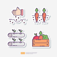 sow seed plan, carrot vegetable in soil, hydroponics farming, vegetables in wood box. Agriculture and farming sticker icon set. Vector Illustration