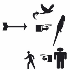 parrot bird arrow point left point right man pedestrain