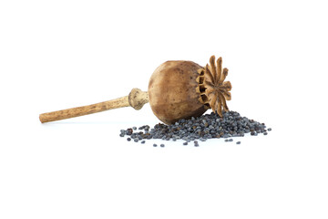 Heap of poppy seeds and dried pod isolated on white