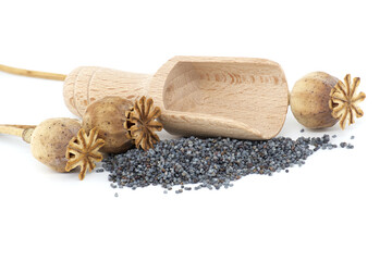 Heap of poppy seeds and dried pod isolated on white