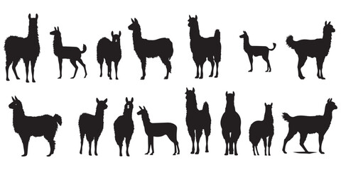 alpaca llama lama silhouette vector graphics 