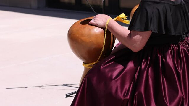 Hawaiian drum lifted and dropped by woman in a maroon and black dress.