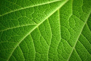 Fototapeta premium Close-up of a vibrant green leaf texture. Generative AI
