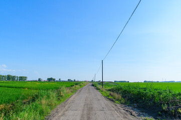 Fototapeta na wymiar 夏の田舎景色