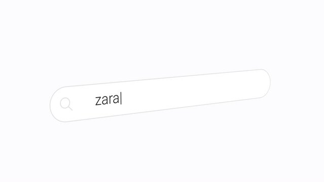 Zara in the Search Box