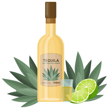 Bottle of tequila with lime concept illustration drink agave mexico traditional vector