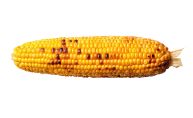 Grilled corn isolated on transparent background, Generative AI