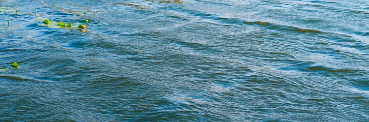 Mixed blue and turquoise surface of water with waves, ripples and water lilies. Water surface panoramic background, water texture closeup