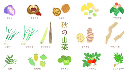 秋の山菜のイラストセット。フラットなベクターイラスト。 Illustration set of autumn wild vegetables. Flat designed vector illustration.
