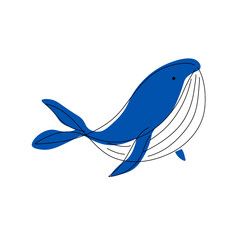 Whale minimal line art illustration hand drawn,Blue whale,Humback whale