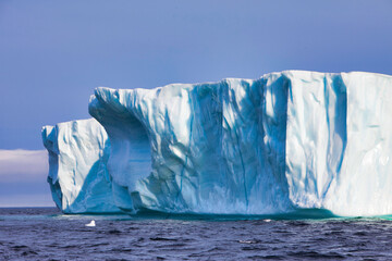 Iceberg off the coast of Newfoundland, Canada - obrazy, fototapety, plakaty