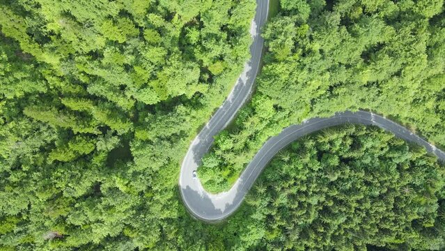 Electric car gliding through lush green forest on winding road