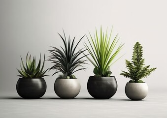 Obraz premium Beautiful plants in ceramic pots