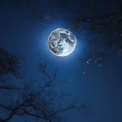 Foto auf Acrylglas Vollmond und Bäume Full moon on sky in the dark night.