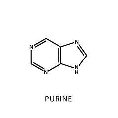  Purine Structure chemical formula types and properties