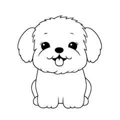 Bichon puppy